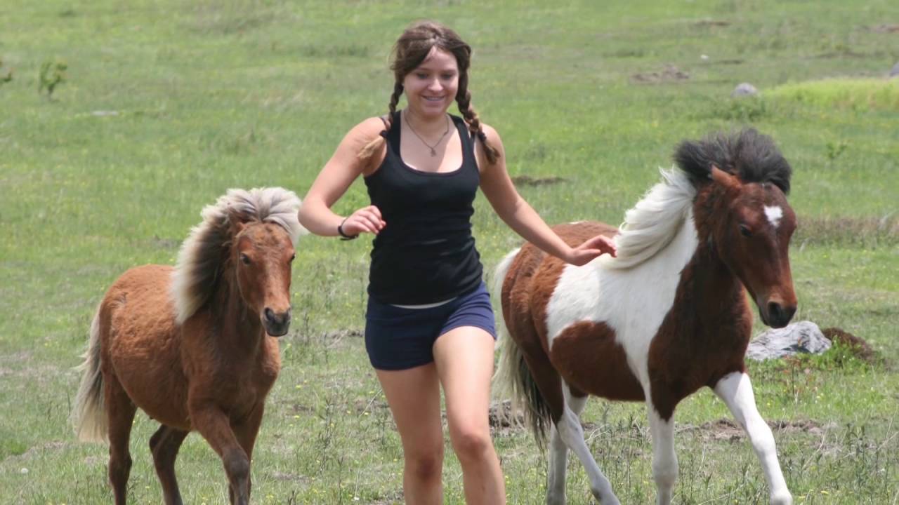 Laura's Bartonella experience