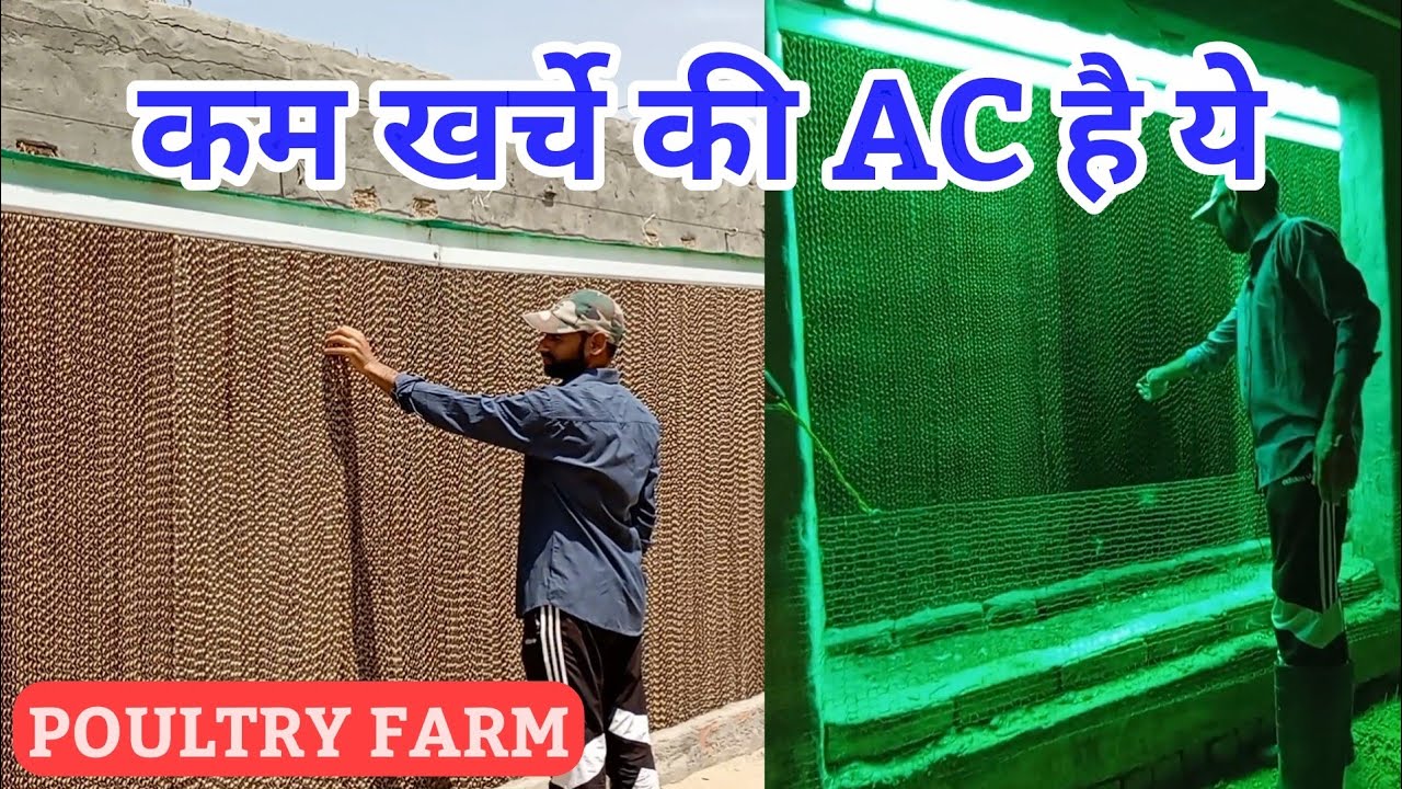#poultryfarming #cooling pad in poultry farm#फार्म मै कूलिंग सिस्टम#system cooling pad#फार्म#poultry