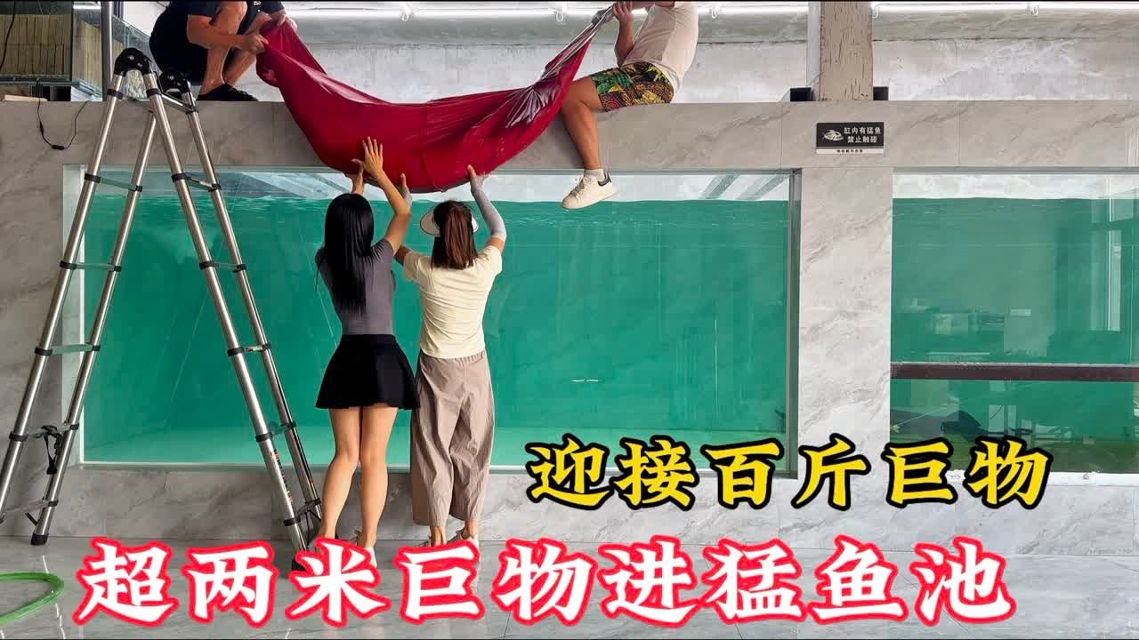 十米鱼池迎接百斤巨物