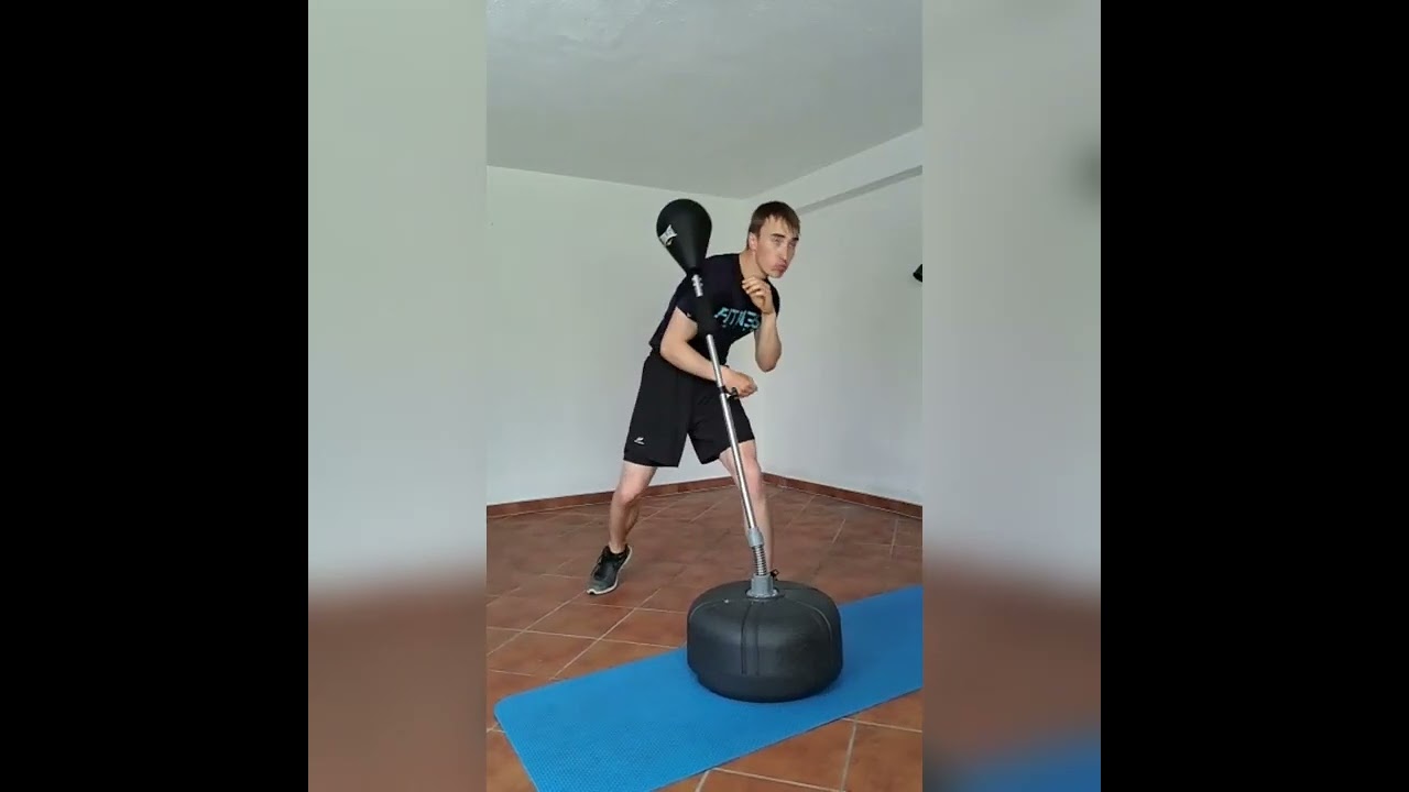 First Punching Ball Training