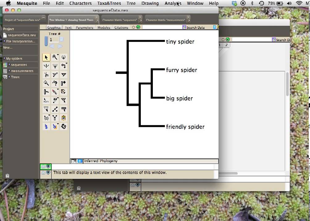 02 Mesquite Basics: How taxa blocks and character matrices are linked