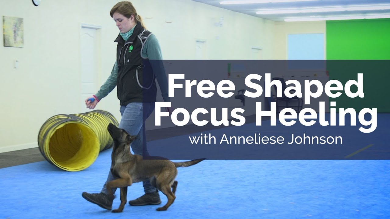 Free Shaped Heeling with Anneliese Johnson