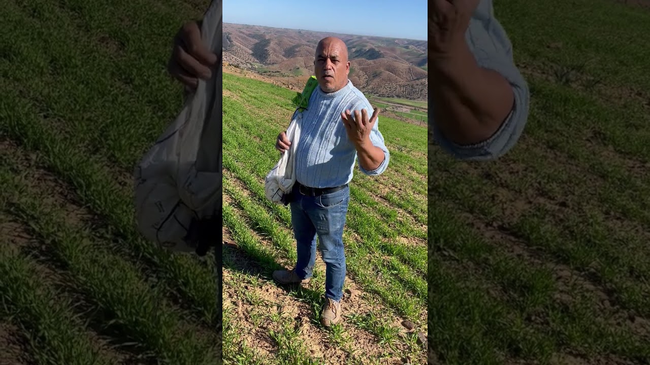 النظافة من الإيمان