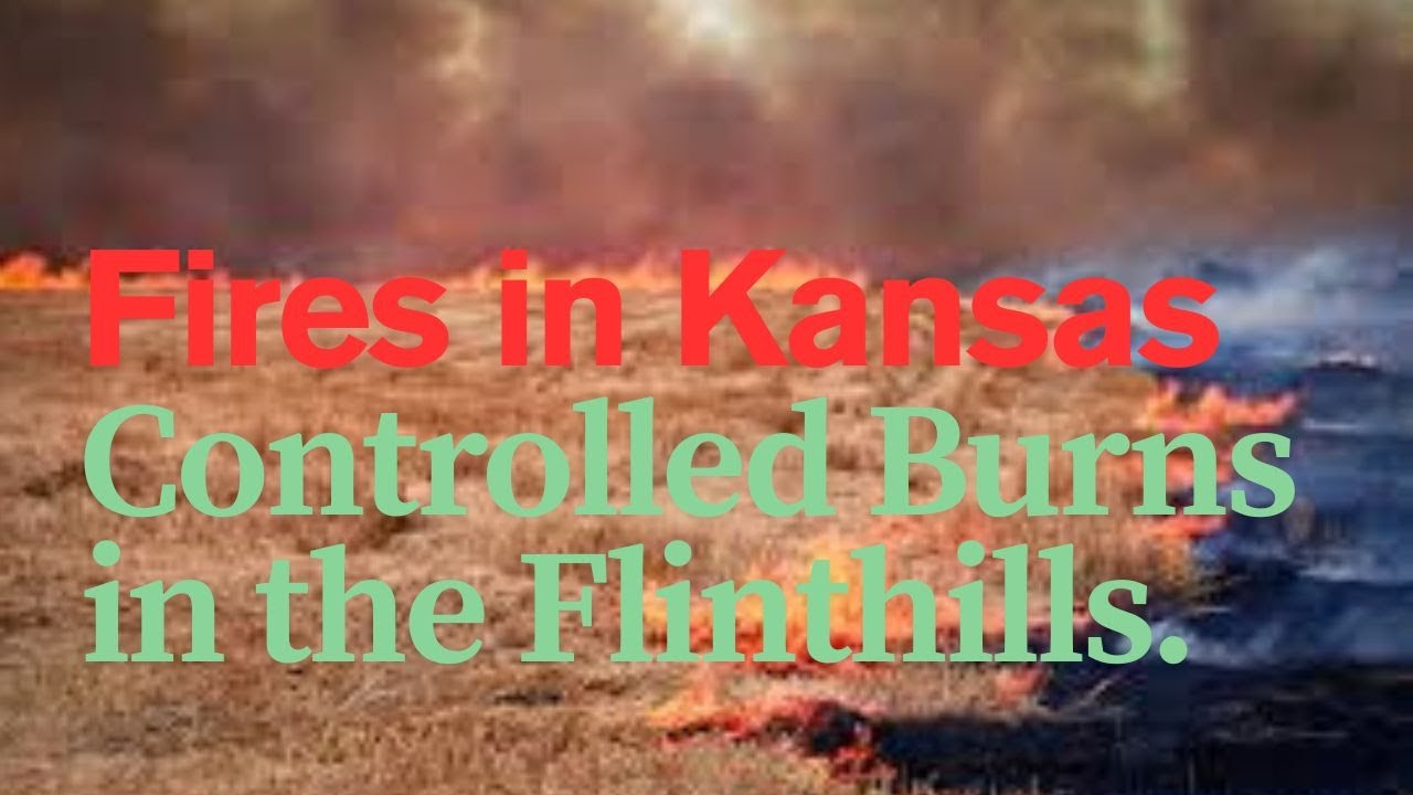 Control Burning A Pasture #homestead #ranchsorting #cattlefarm