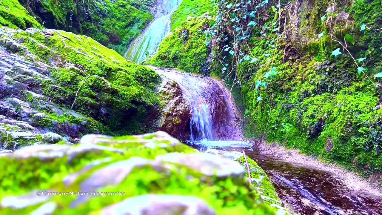 432Hz Himalayan Forest Waterfall 🌿 Tibetan Healing Sounds for Sleep & Deep Meditation (1 Hour)