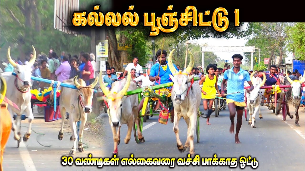 கல்லல் பூஞ்சிட்டு 1 பந்தயம் 28.02.2026