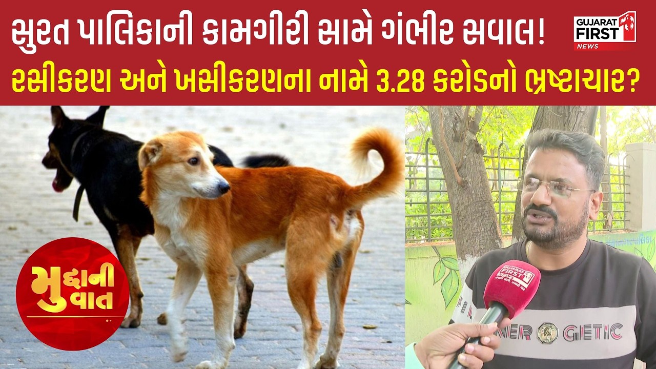 dog sterilization scam: કાગળ પર 2754 શ્વાન, તો પાલિકાએ 33761 શ્વાન કેવી રીતે પકડ્યા?