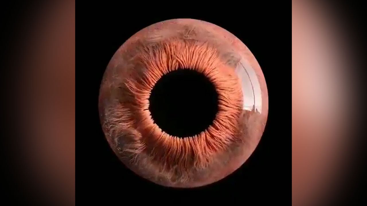 Human eye Iris macro zoomed | Amazing Videos of the world