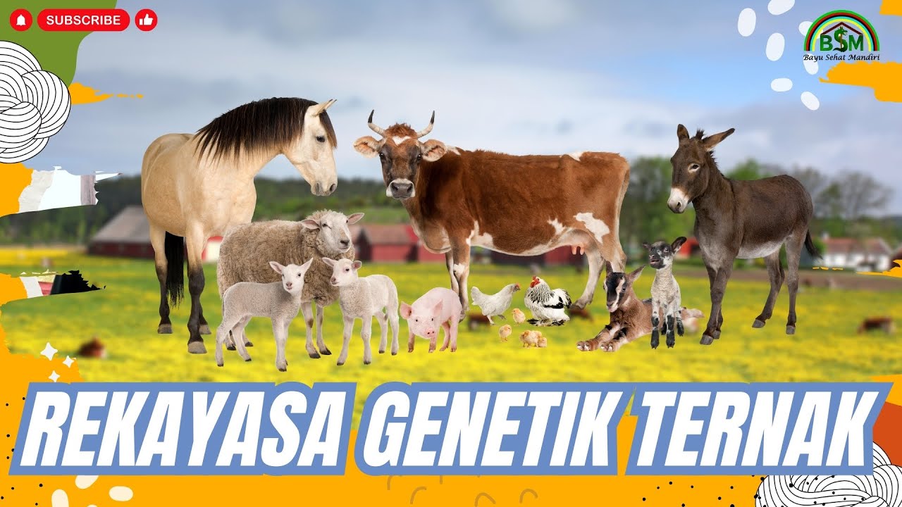 REKAYASA GENETIK UNTUK MENGHASILKAN TERNAK UNGGUL
