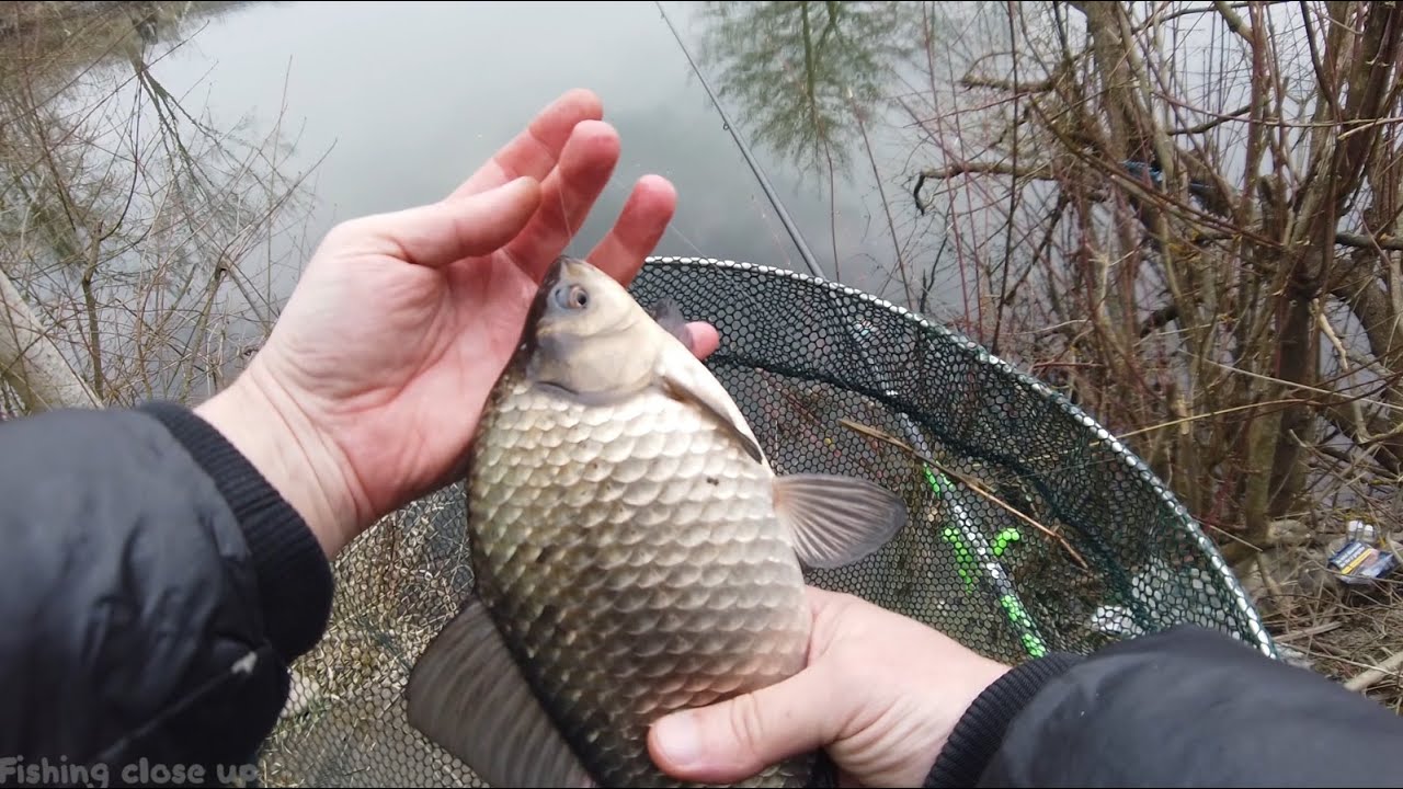 Fishing On Feeder And Float On A Wild River In Spring 2020 (ENG SUB)