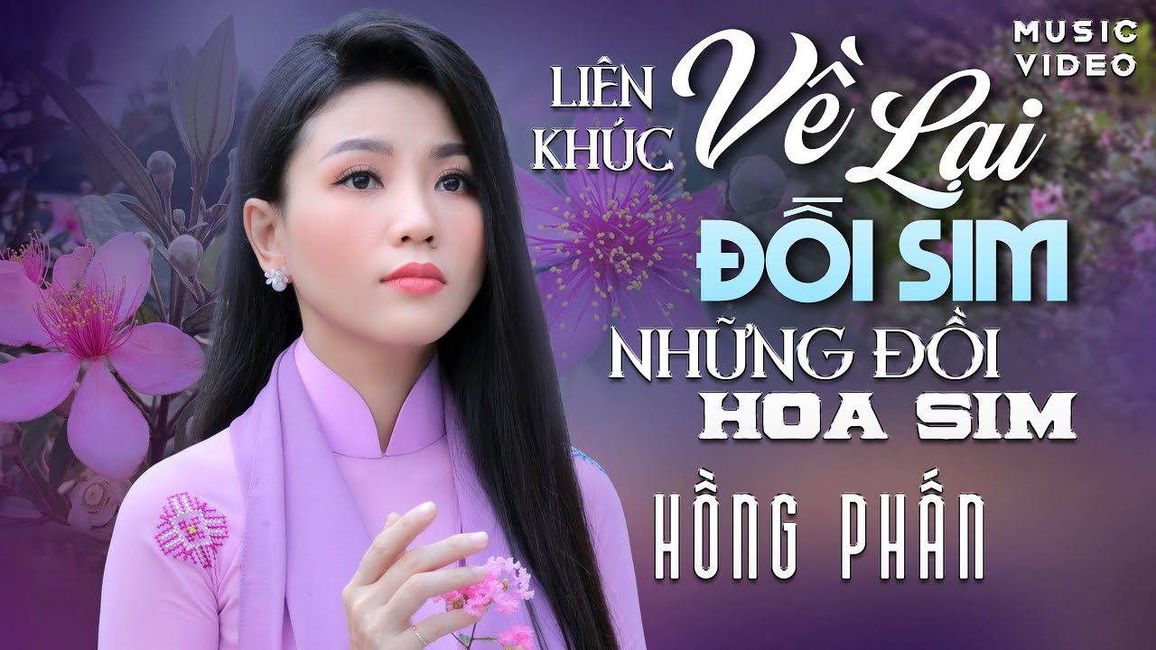 LK VỀ LẠI ĐỒI SIM & NHỮNG ĐỒI HOA SIM - HỒNG PHẤN | MV Nhạc Bolero Trữ Tình Đặc Biệt Mới Nhất 2025