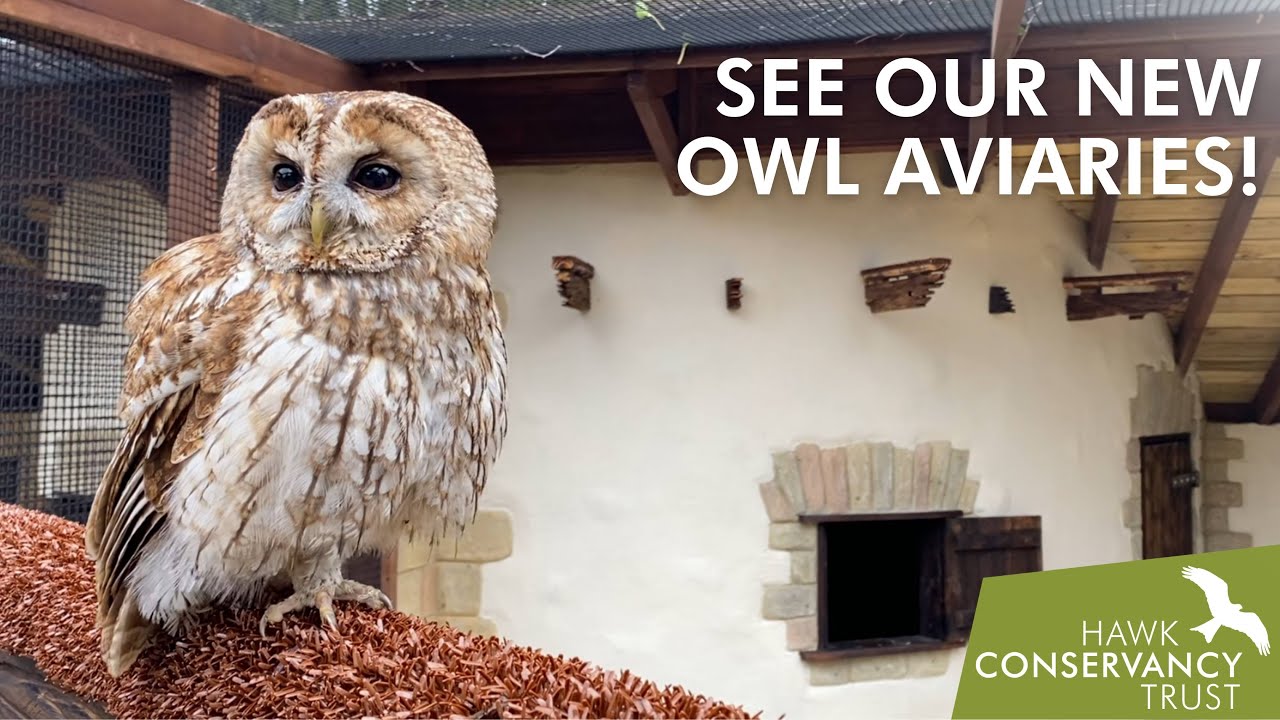 See our new Owl Aviaries!