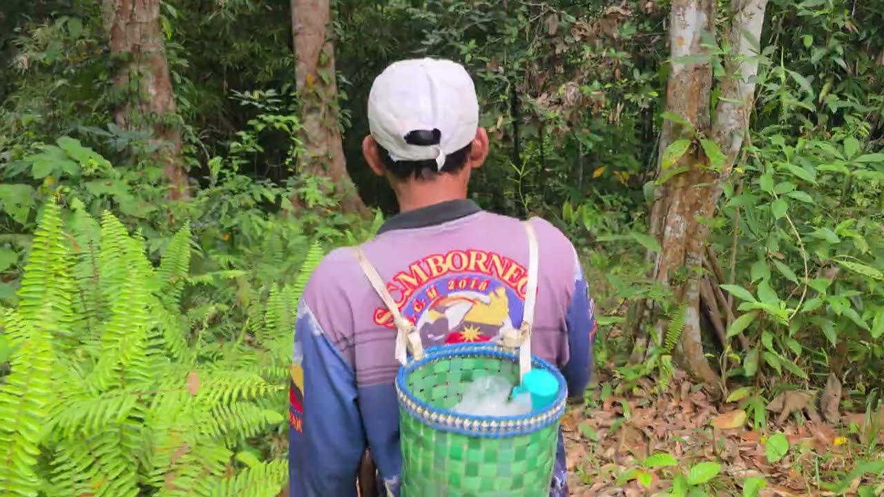 Medak tanah big boss bak sri aman (Ep1)