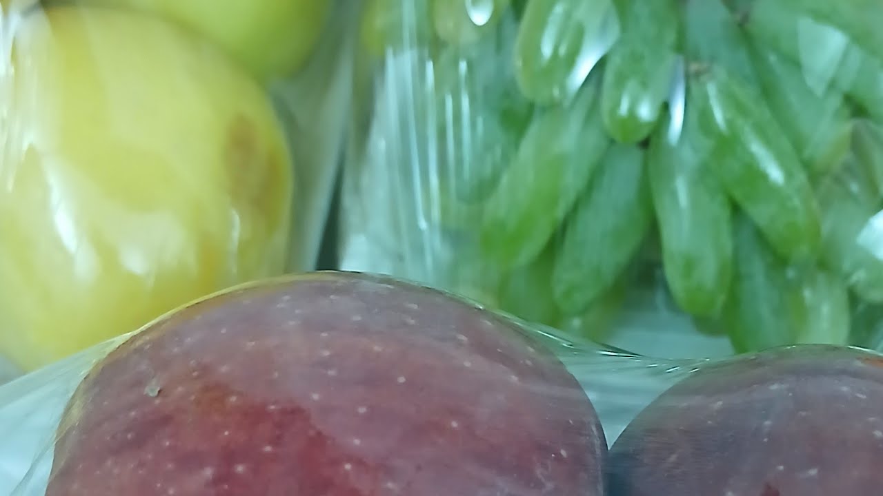 ሶስተ ዙር ሳቡሳ ዝግጁት ላይ ነኜ  ኑው እገዙኚ