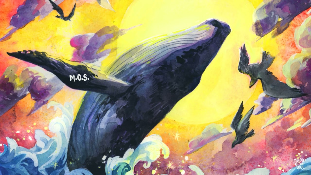 M.O.S. - A Little Story About Big Whale [Exclusive Premiere]