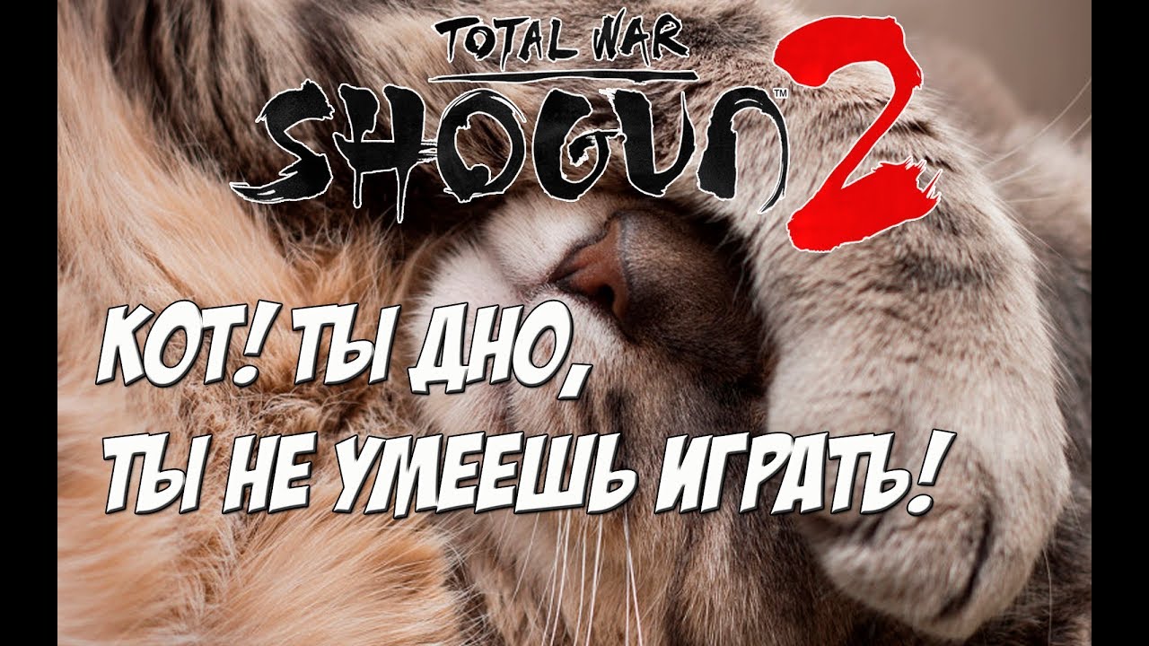 Валя Командир в атаке! Кот - днище Shogun 2 Total War!