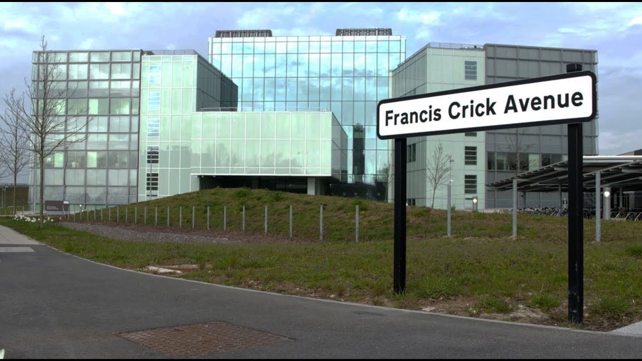 Synthetic Biology in Europe