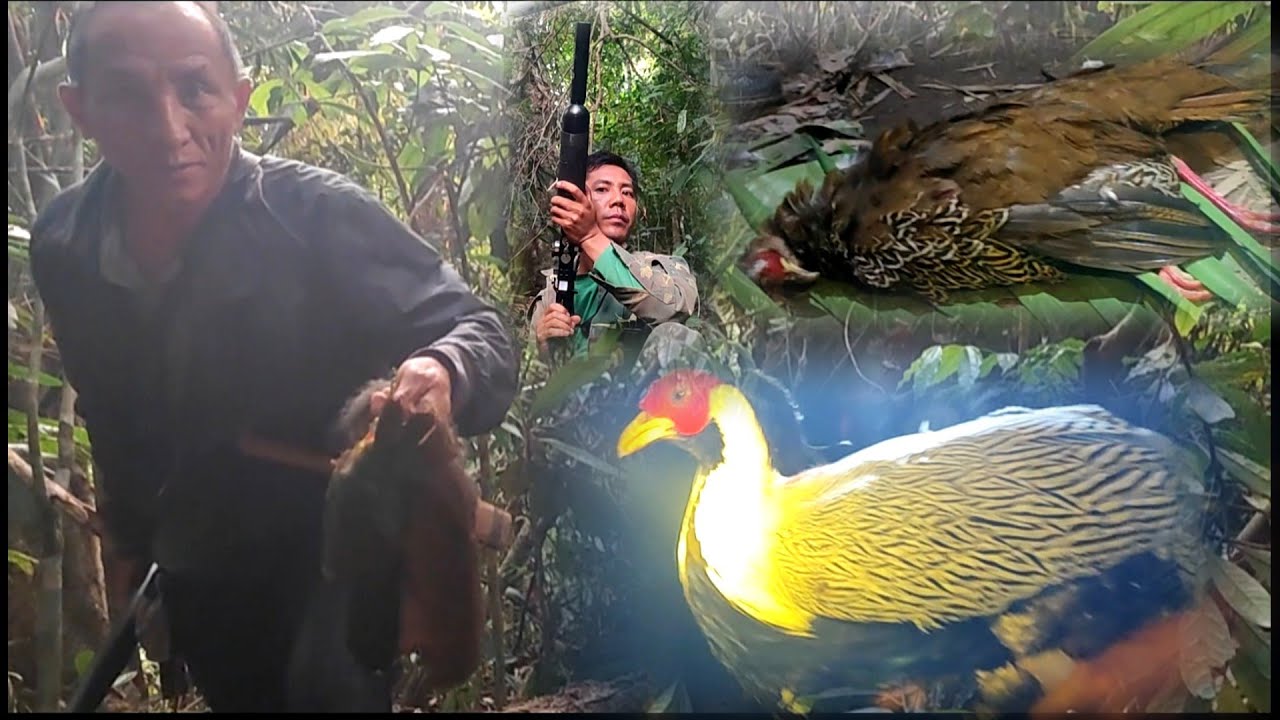 hunting.yos hav zoov tua npua teb thiab tua nraj pw.3#. 5/4/2026