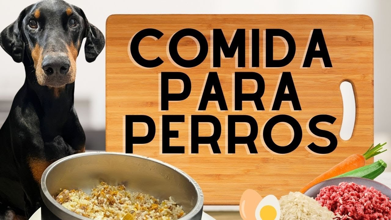 COMIDA PARA PERROS - RECETA CON CARNE MOLIDA - FACIL NUTRITIVA