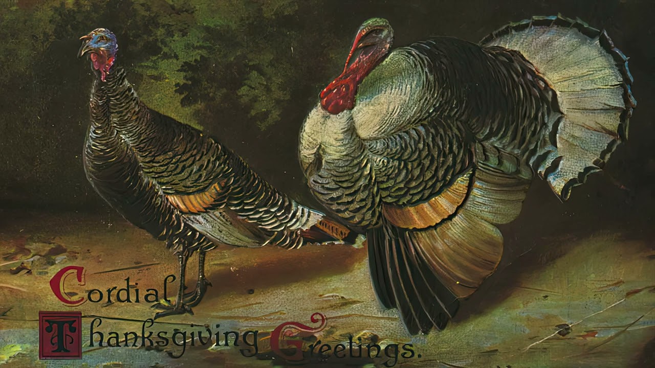 Thanksgiving TV Art 4K | Cordial Thanksgiving Greetings | Vintage Turkey Postcard