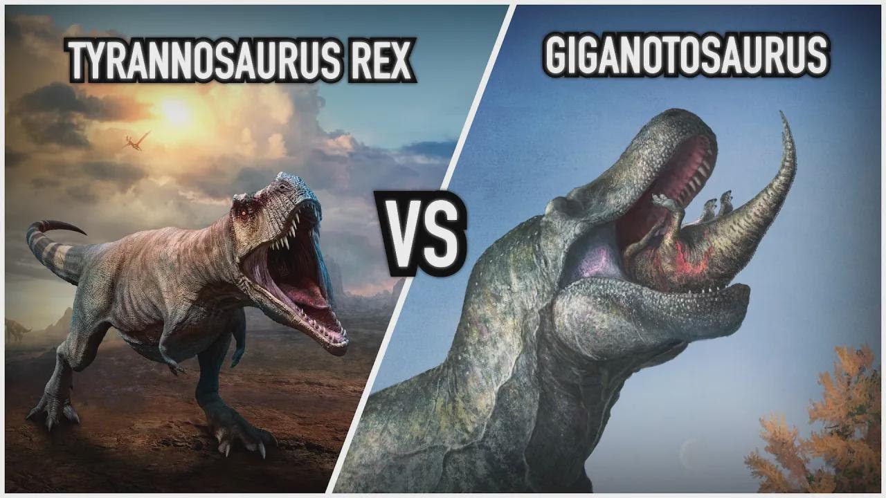 Tyrannosaurus Rex kontra Giganotozaur – Który dinozaur wygra?