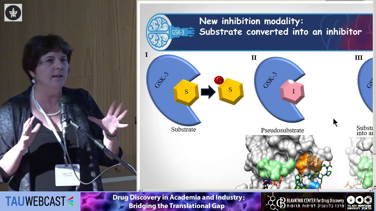 Novel GSK-3 Inhibitors for Treating CNS Disorders