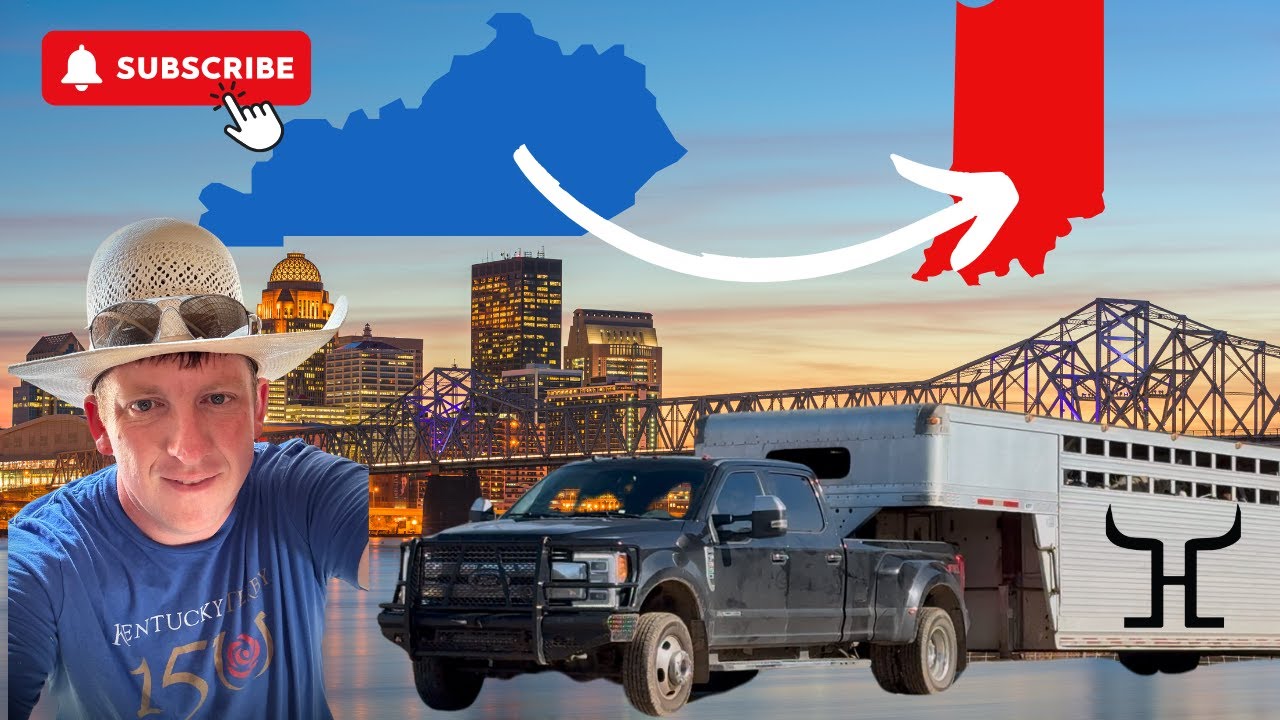 Journey Unleashed: Draft Horses, Mules, and Essential Gear!