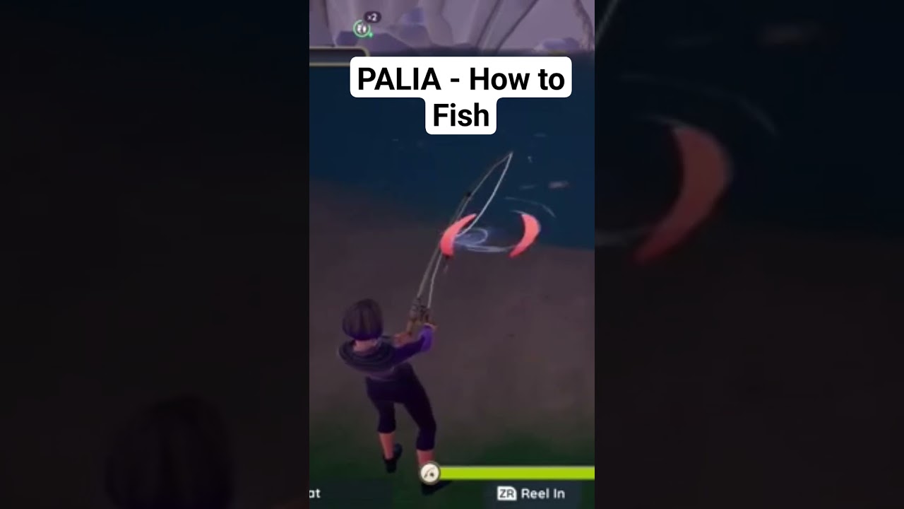How to Catch Fish #palia