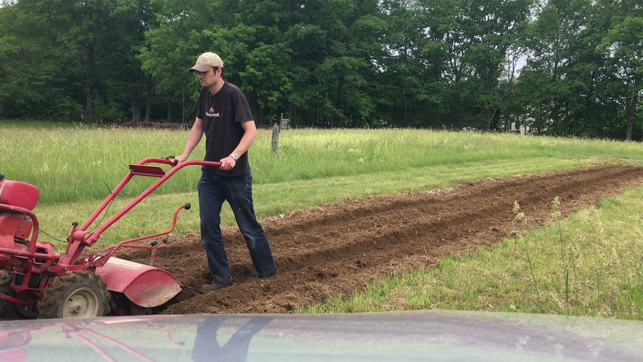 Potato Planting 2021