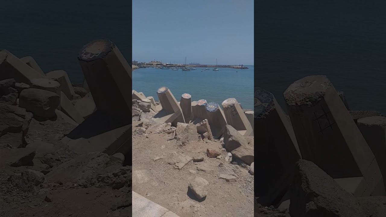 Ex isla alacr&aacute;n arica