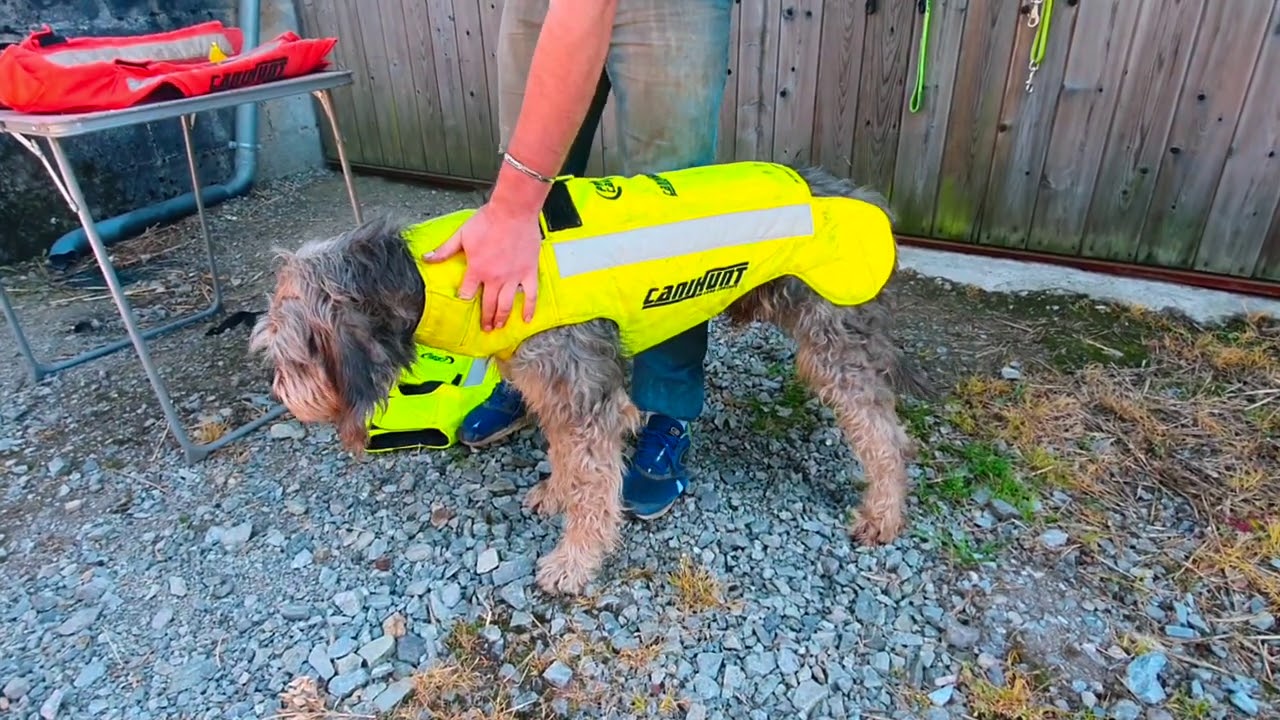 Gilet de protection pour chien au sanglier. 🔹Gamme Canihunt🔹