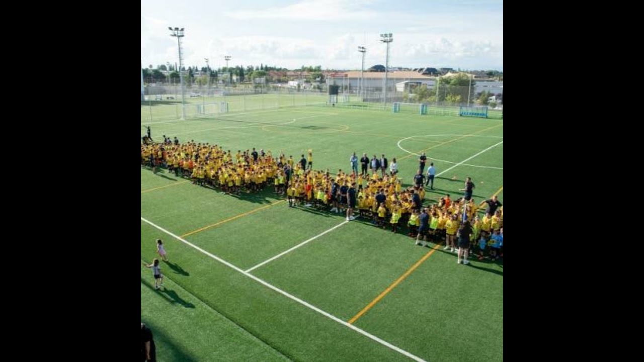 Nuevo Boadilla, club para el que todos sus jugadores son talento, camino de 20 años de formación ...