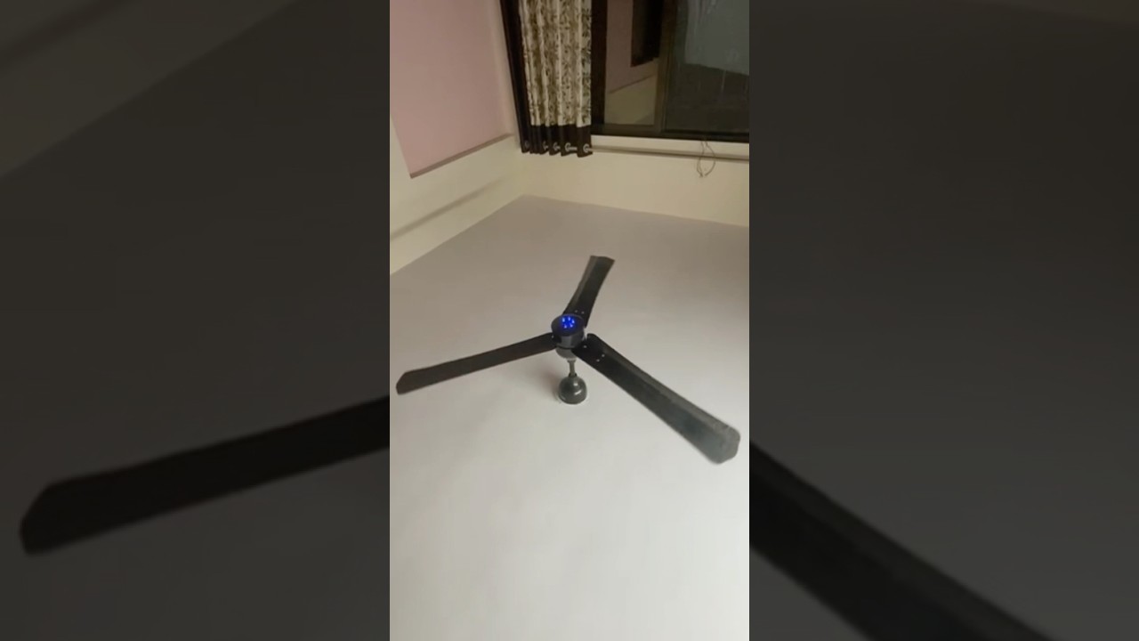 Crazy Ceiling Fan Reviews 😀 