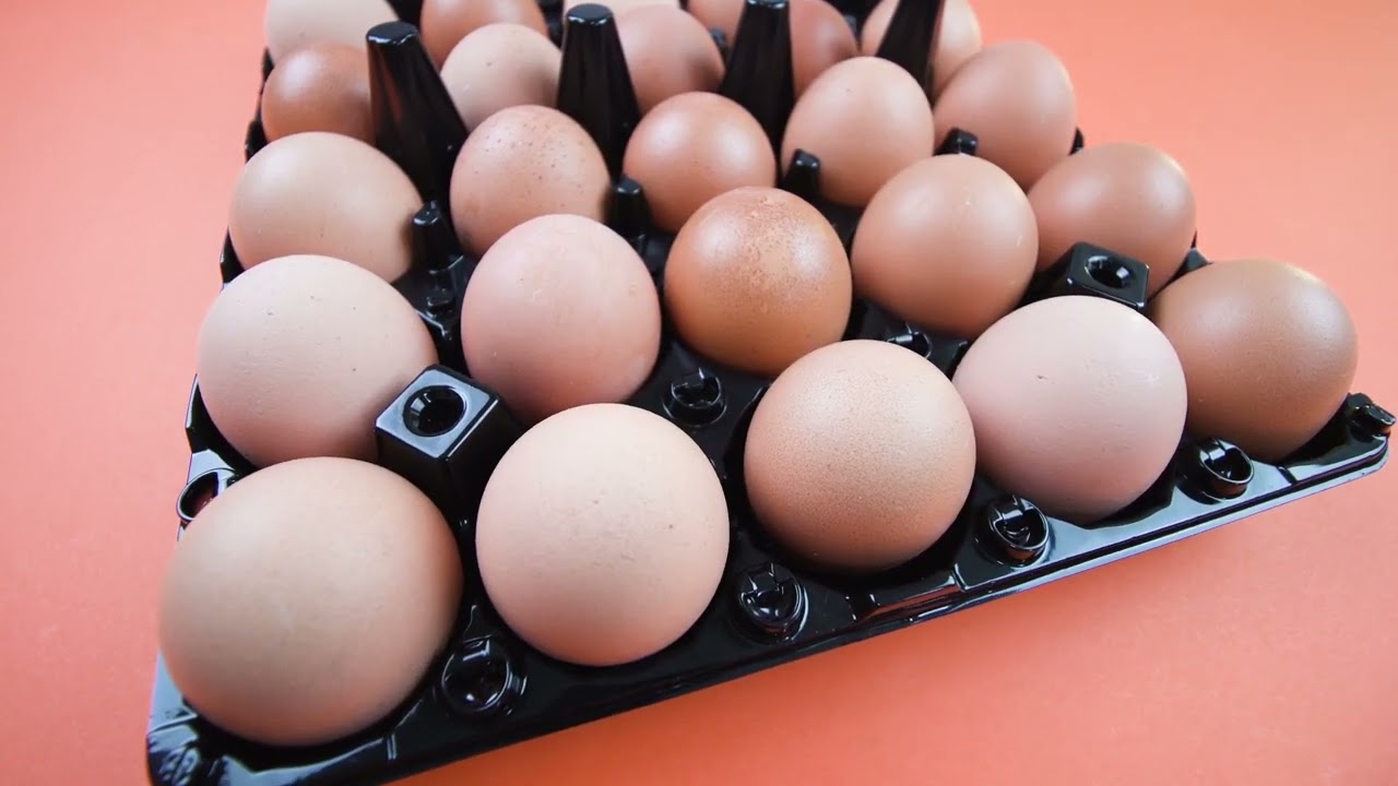 Why and how use eggs to make the influenza vaccine