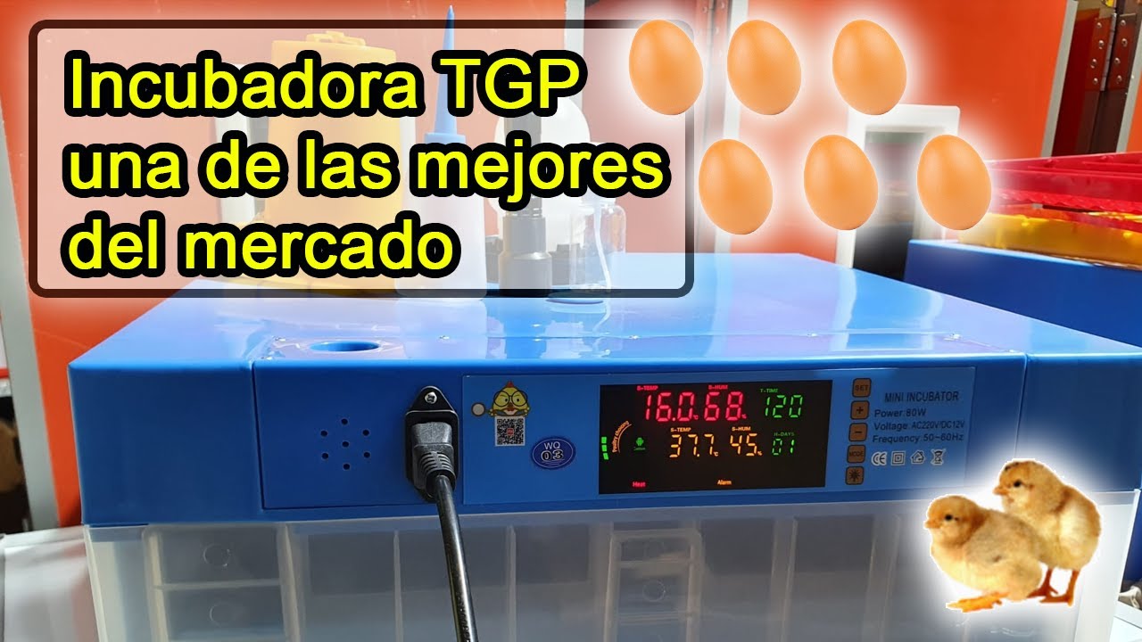 incubadora 64 huevos, una de las mejores del mercado