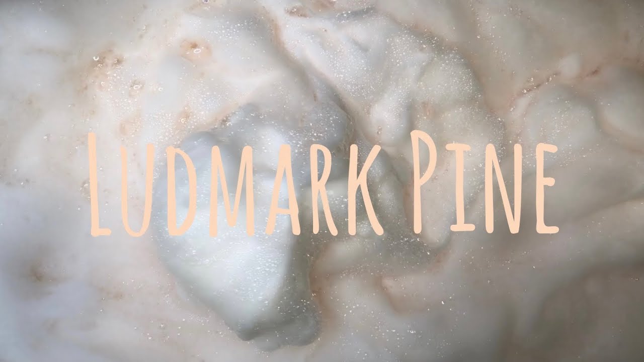 ASMR Soapy Sponge Squeezing: Ludmark Pine Suds Overload