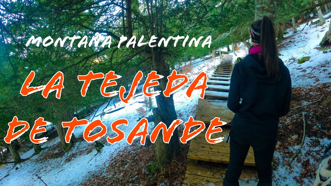 Monta&ntilde;a Palentina - Tejeda de Tosande | Desnivel Positivo