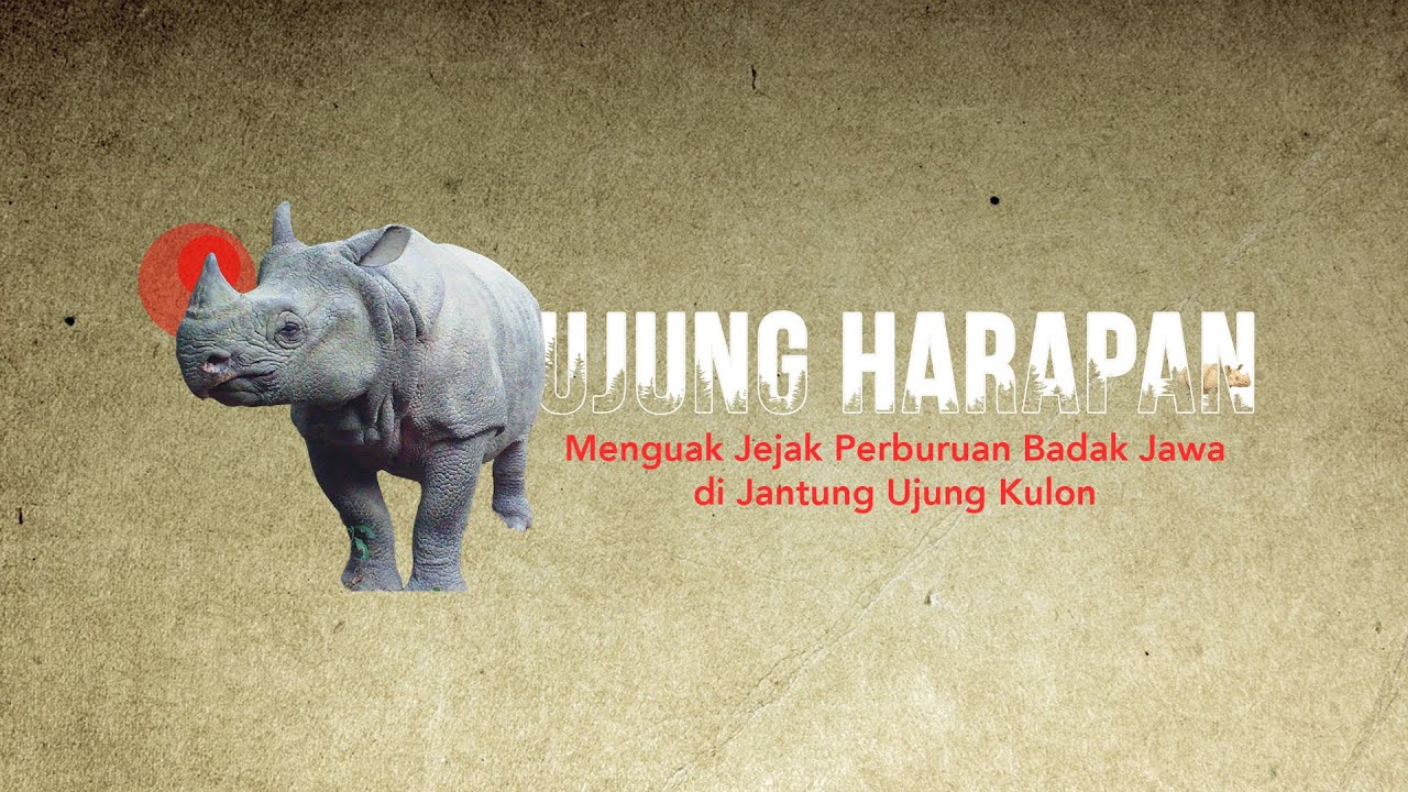 Ujung Harapan - Menguak Jejak Perburuan Badak Jawa di Jantung Ujung Kulon | Mini Documentary