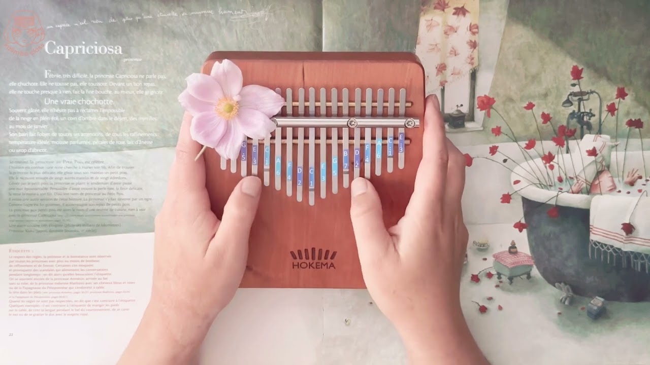 Home by Edward Sharpe and the Magnetic Zeros [Kalimba Cover]