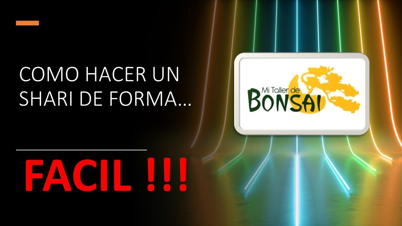 COMO hacer un SHARI de forma FACIL