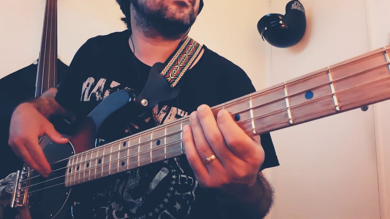 Ska-P - Animales de Laboratorio (Bass Cover)