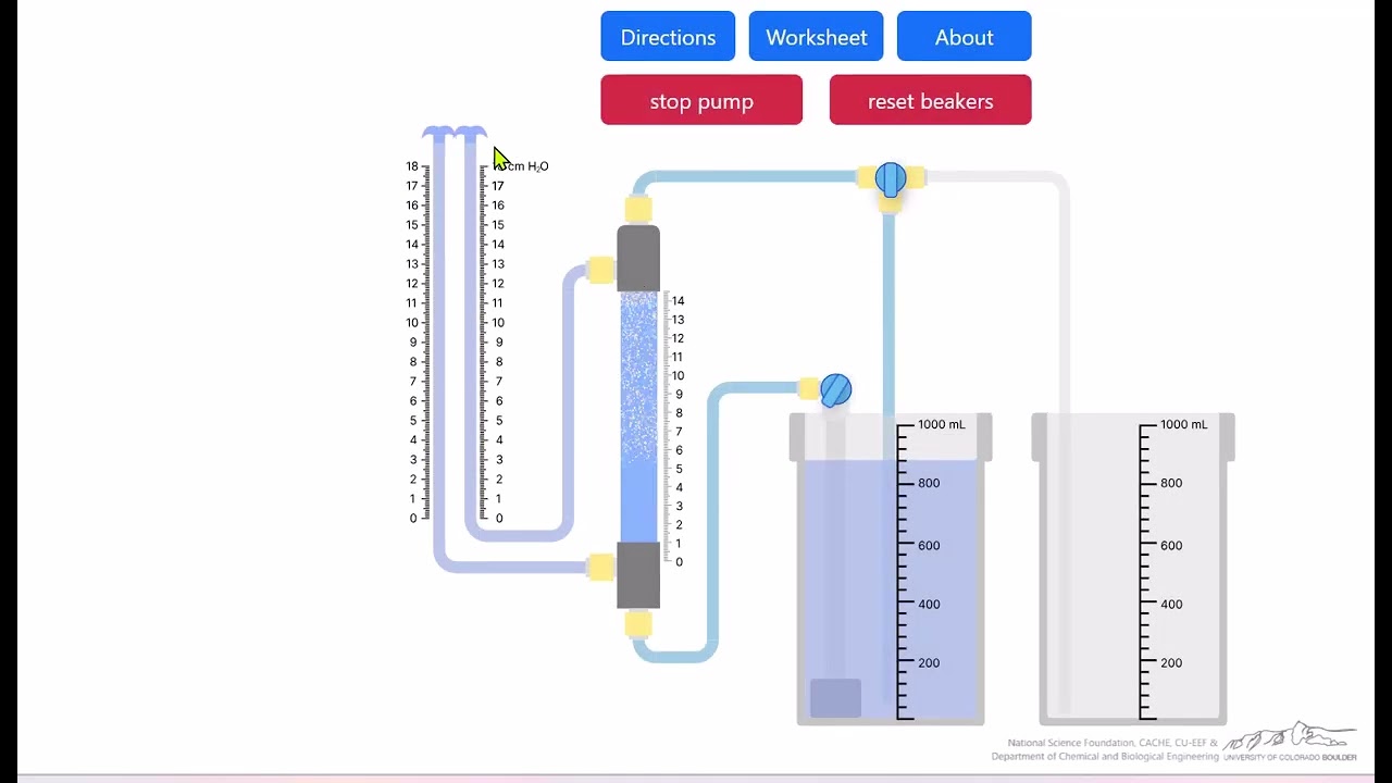 Fluidized Bed Digital Experiment
