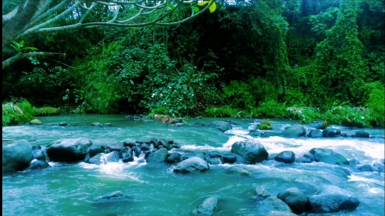 Tranquil River Ambience – Soft Stream and Forest Sounds for Deep Sleep and Inner Peace