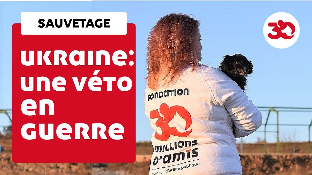 UKRAINE : Une vétérinaire en première ligne