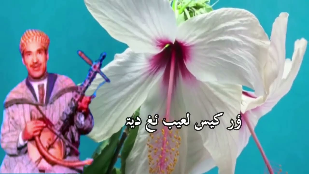 رايس محمد البنسير- ⵉⵣⴷ ⴰⴷ ⴰⵍⵍⴰⵖ ⴰⵔ ⴽⵉⵖ ⴰⵙⵙⵏⴷⴰⵎⴰⵖ ئزد اد الاغ ار كيغ اسنداماغ