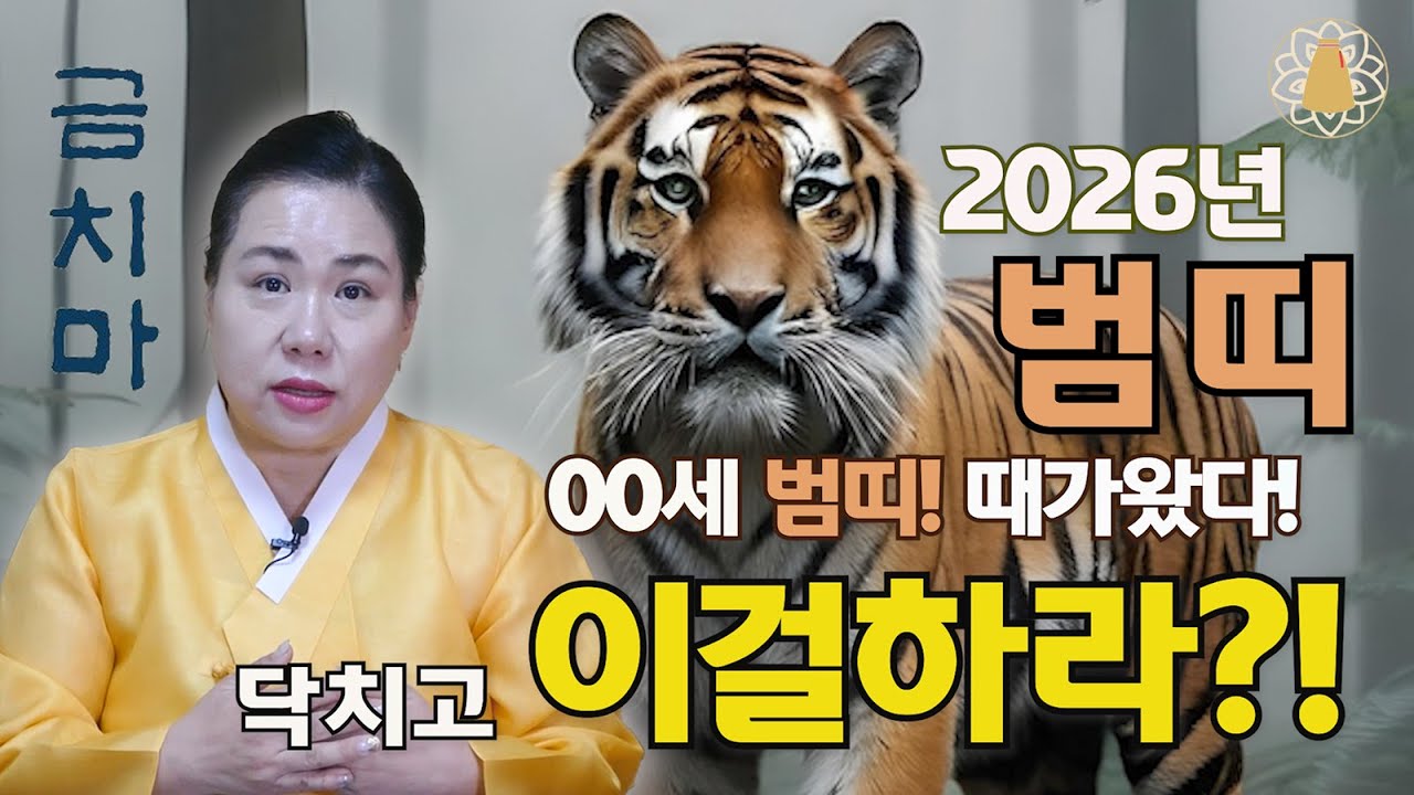 2026년 병오년 띠별 운세 범띠 [금치마] # 용한점집 #천호동점집 #충주점집 #최고의점술사 #띠별운세 #범띠운세