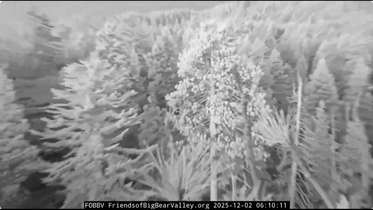 December 2nd morning in Big Bear Valley 2025 @FOBBVCAM