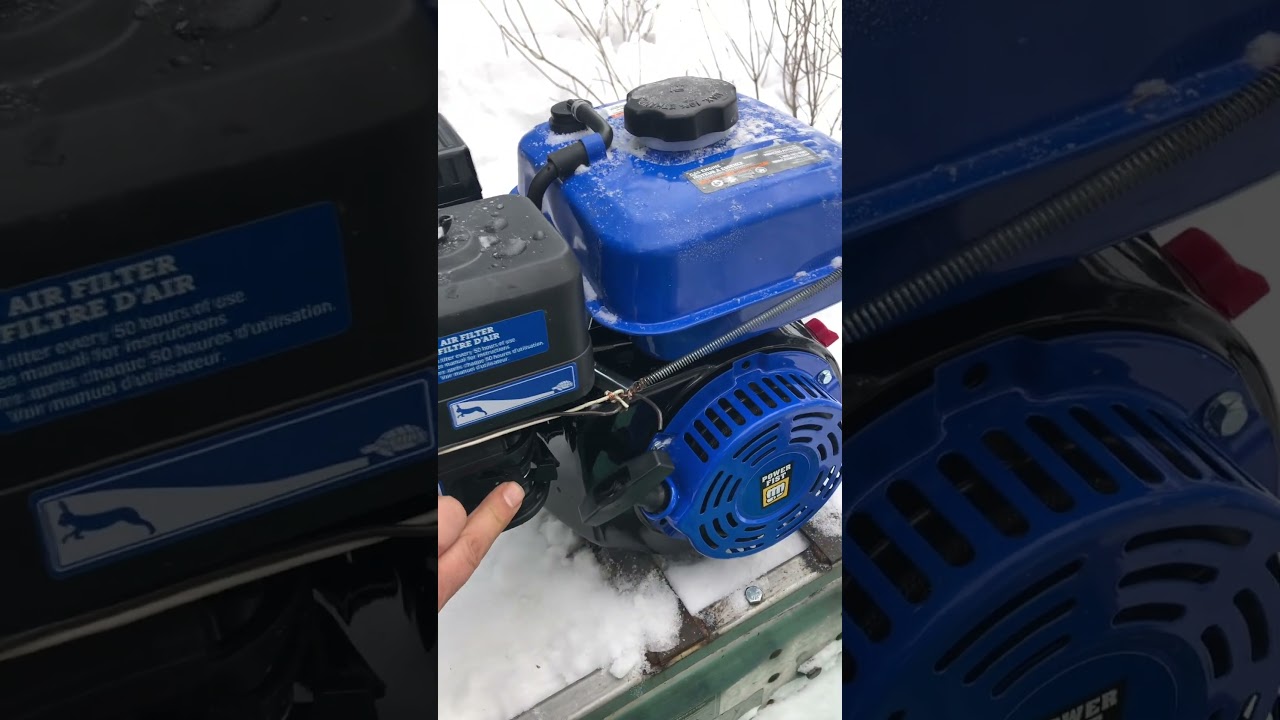 Winter Woes: Snow Dog Governor Issue