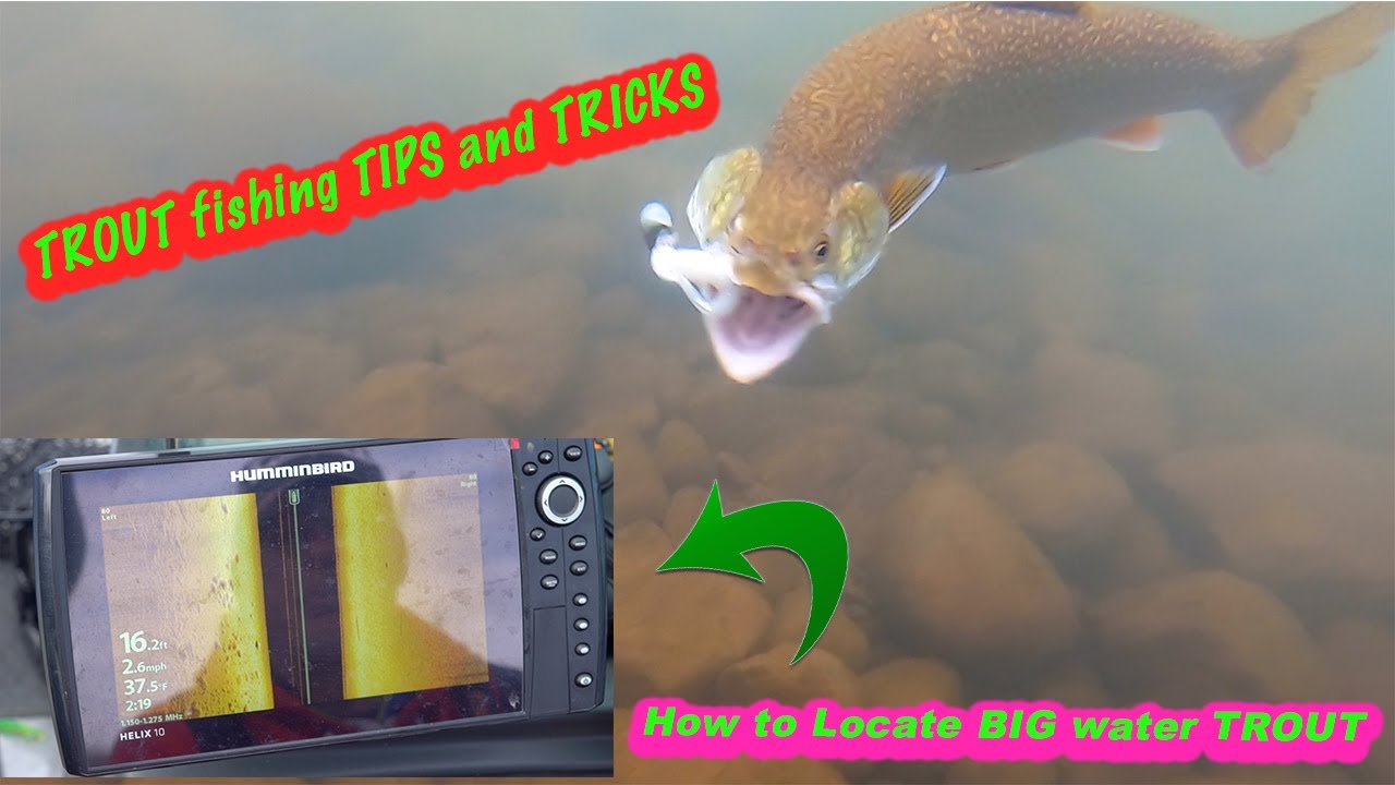 КАСТИНГ на ФОРЕЛЮ (КРУПНЫЙ) ИЗ ОЗЕРА ВЕРХНЕГО