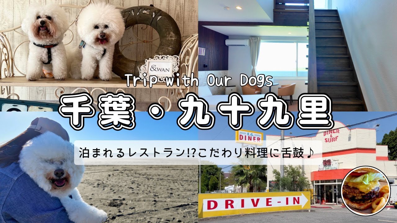 【愛犬と九十九里】オーベルジュで過ごす特別な１日｜&WAN九十九里・E.G.DINER・チェルビックドーナツ｜ビションフリーゼ